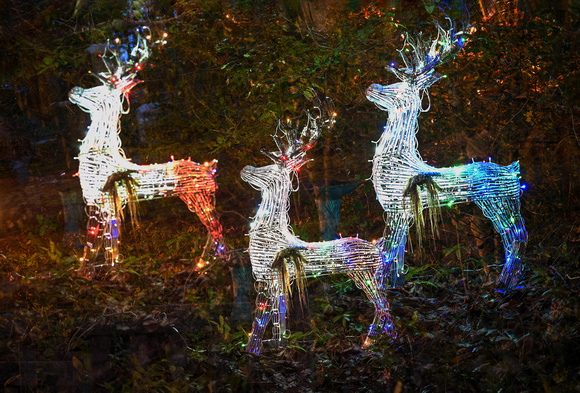 4 Multiple exposure and 12,800 ISO-Katie Hubberstey